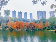 -重庆彩云湖湿地公园