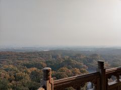 -灵谷景区