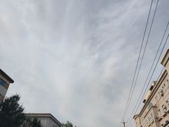 -桃花堤公园