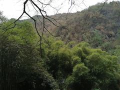 -英西峰林·洞天仙境