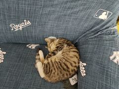 -福奈特洗衣·洗鞋·奢侈品护理(沈阳三经街店)