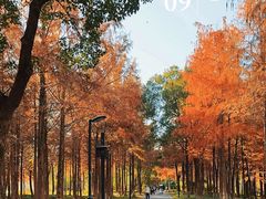 -西溪国家湿地公园