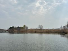 -贡湖湾湿地公园