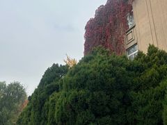 -辽宁大学(崇山校区)