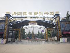 -洛阳郁金香牡丹园