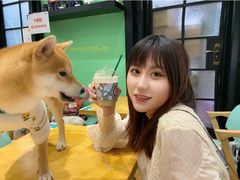 -猫色咖啡·猫咖