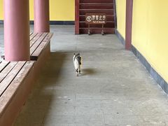 -六鼎山文化旅游区