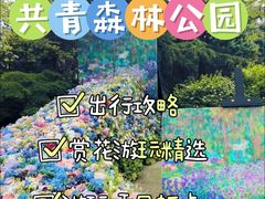 -上海共青森林公园