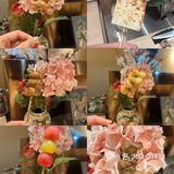 济南烧鸟/强推！盐烧老板在日本十几家店