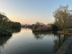 -溱湖国家湿地公园