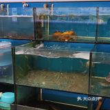 绝绝子！三门小海鲜！