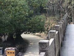 -峙山公园