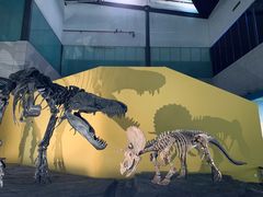 -湖南省地质博物馆