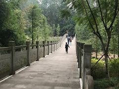 -重庆彩云湖湿地公园