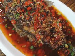 豆瓣鲫鱼-陈三炖鸡馆(金众小区店)