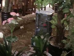 -回忆以前铁锅炖鱼村(一部六号街店)
