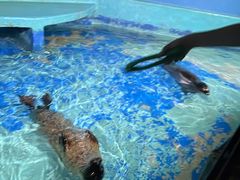 -太平洋海底世界