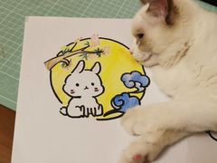 -袖虎·猫馆(体育西路店)