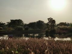 -良渚古城遗址公园