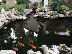 -鲤院·新中式美学·庭院餐厅(夫子庙店)