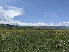 -新疆那拉提国家旅游度假区
