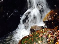 -藏龙百瀑风景区