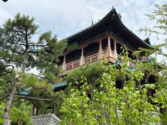 -迎泽公园