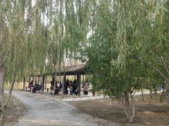 -西青郊野公园