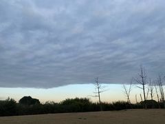 -良渚文化村