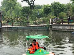 -鹅湖玫瑰文化园
