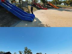 -春花秋色城市公园