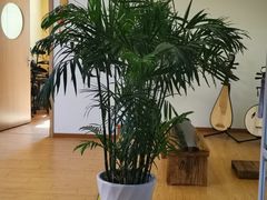 -音歆国艺馆·民乐培训(双榆树店)