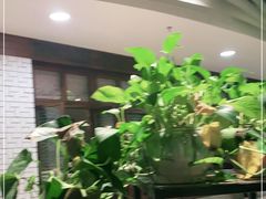 -舌尖上的食缘花园主题餐厅
