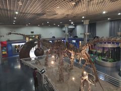 -国家自然博物馆