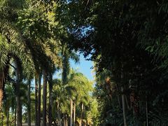 -南宁南湖公园