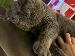 -吹泡·Triphop(棋盘店)