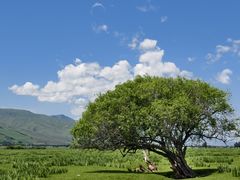 -新疆那拉提国家旅游度假区