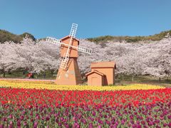 -苏州上方山国家森林公园