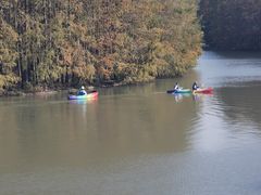 -上海海湾国家森林公园