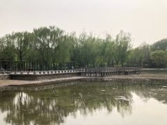 -望湖公园