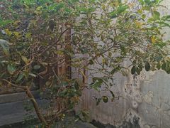 -许驸马府