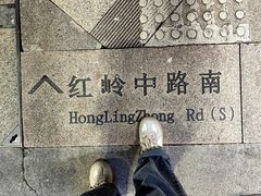 -鹏城丽景酒店(华强北红岭地铁站店)