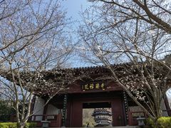 -牛首山文化旅游区