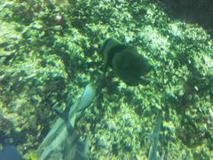 -鸿通城购物中心