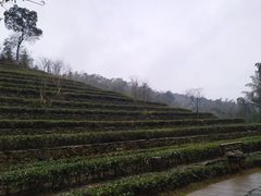 -常德桃花源景区