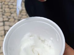 -洪馨椰子