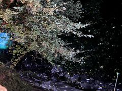 -萍乡武功山风景名胜区