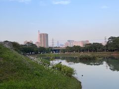 -福田红树林生态公园