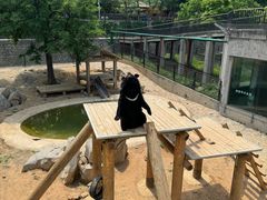 -石家庄市动物园