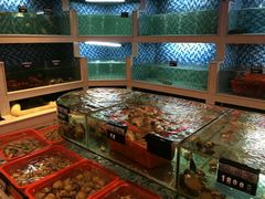 -船奇蒸汽海鲜·闽菜(八市海鲜总店)